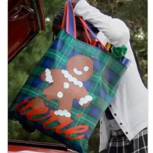 Aerie Festive Plaid Reusable Tote Gingerbread holiday bag American Eagle travel